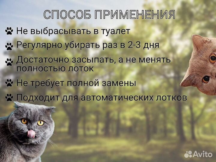 Наполнитель в кошачий лоток