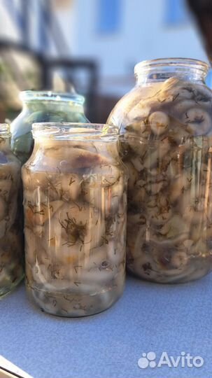 Грибы грузди соленые