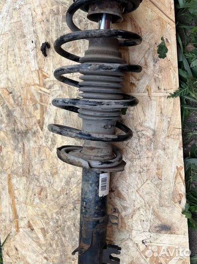 Амортизаторы в сборе Citroen c3