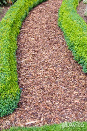 Кора сосны,мульча,для облагораживания
