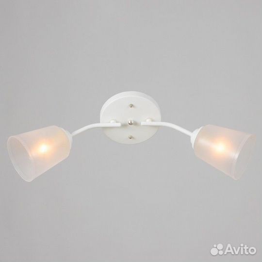 Люстра 'Онлайн' (цилиндр) 2х15Вт Е27 модель BR 00193 белый/прозрачный