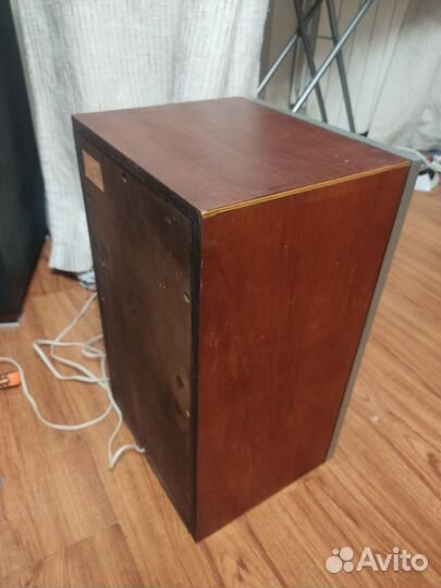 Колонки Вега 25ас 109