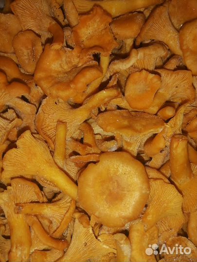 Замороженные грибы. Лисички. Белые