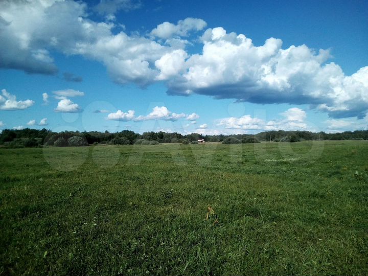 Участок 10 сот. (ИЖС)