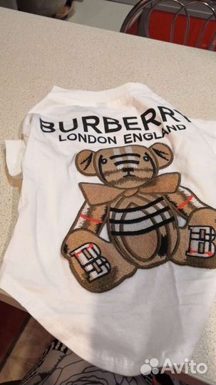 Одежда для собак