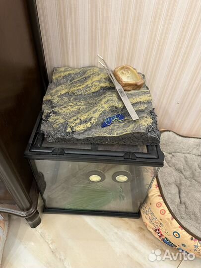 Террариум для рептилий