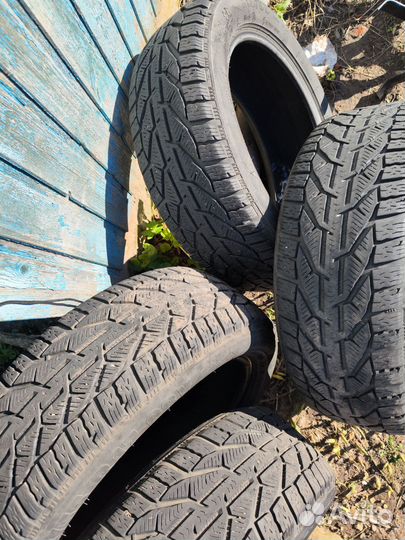 Tigar Winter 215/55 R17 98V