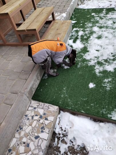 Жилет куртка для собаки