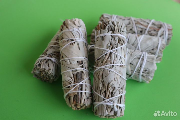 Шалфей Белый от 20шт опт для Озон