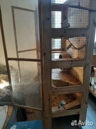 Клетка для дегу