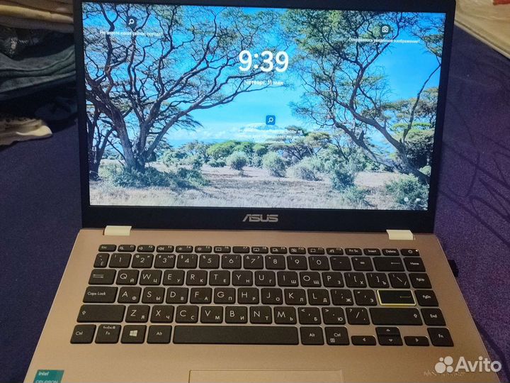 Ноутбук asus новый