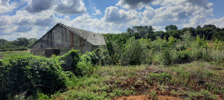 Дом 60 м² на участке 25 сот.