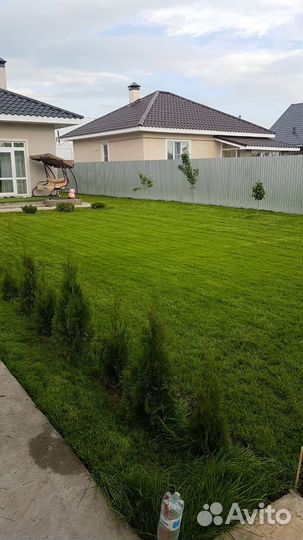 Гидропосев в Самаре. посев Газона