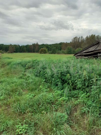 Участок 50 сот. (ИЖС)