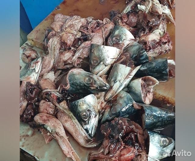 Рыбные отходы