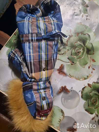 Одежда для маленьких собак