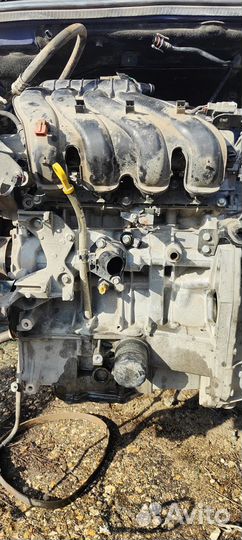 Renault kaptur двигатель