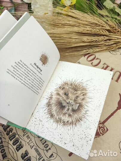 Книга Country Set Hannah Dale