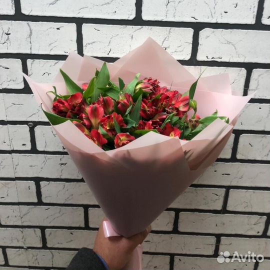 Альстромерия красная 9 шт