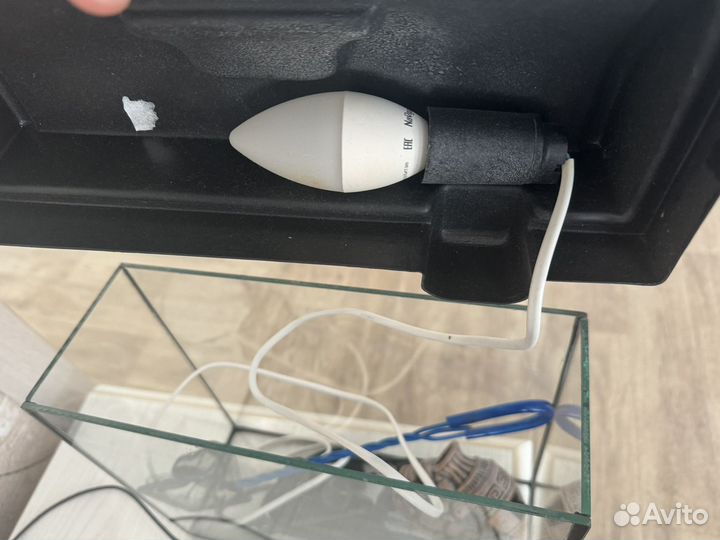 Аквариум для рыб