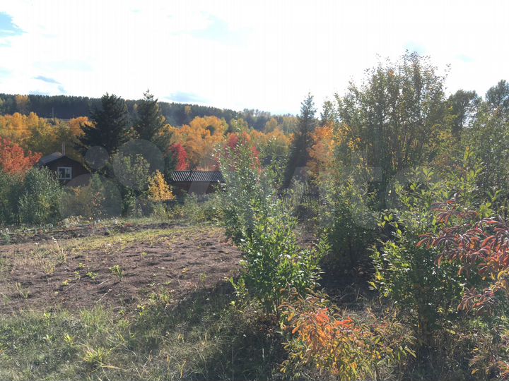 Участок 6,4 сот. (СНТ, ДНП)