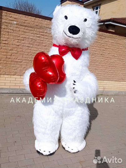 Белый мишка танцующий поздравление, выписка