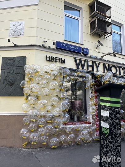 Юридический адрес. Бесплатно регистрация ооо