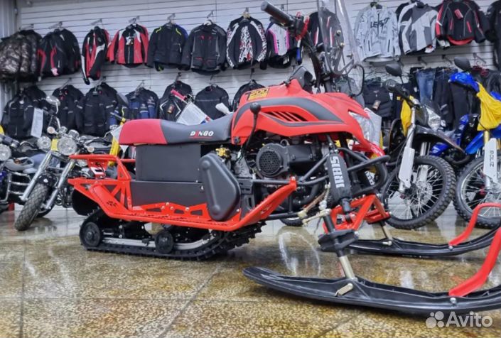 Снегоход irbis dingo T200 24/25