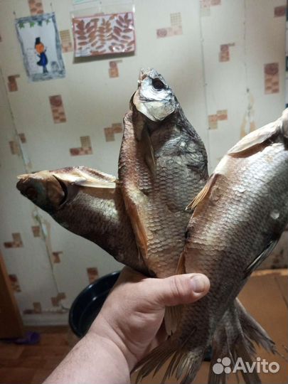 Вяленая рыба