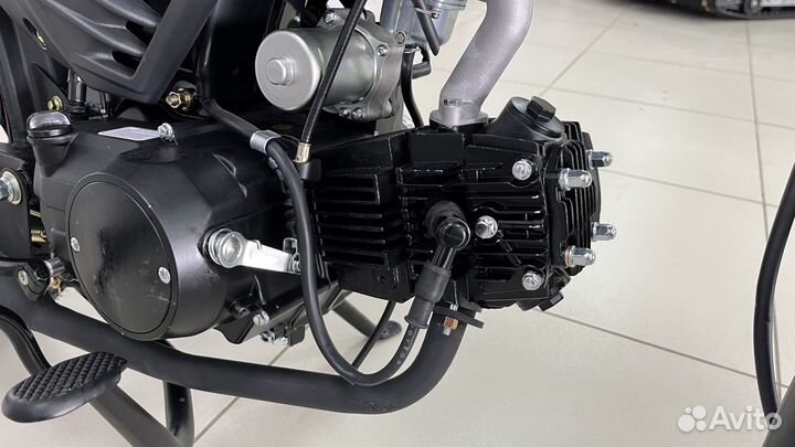 MotoLand Alpha RF 11 / Мопед Альфа