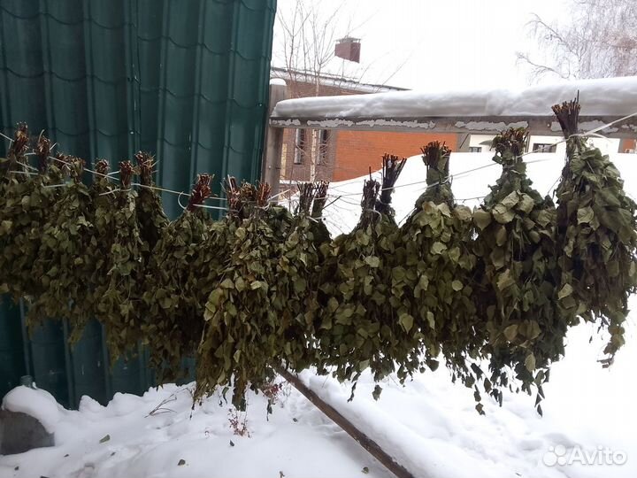 Веники для бани берёзовые