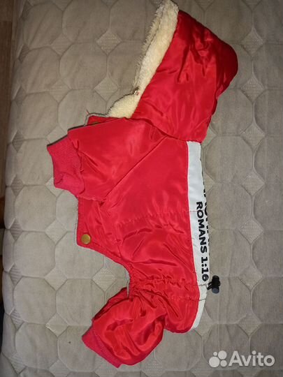 Одежда для маленьких собак