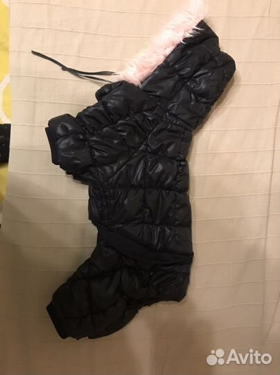 Одежда для собак мелких пород