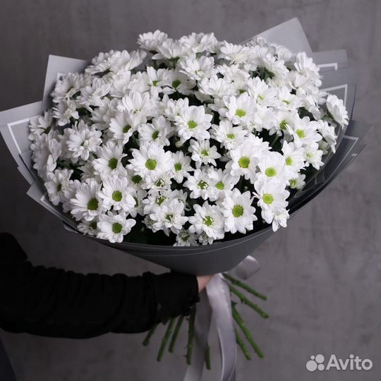 Букет из 15 кустовых хризантем