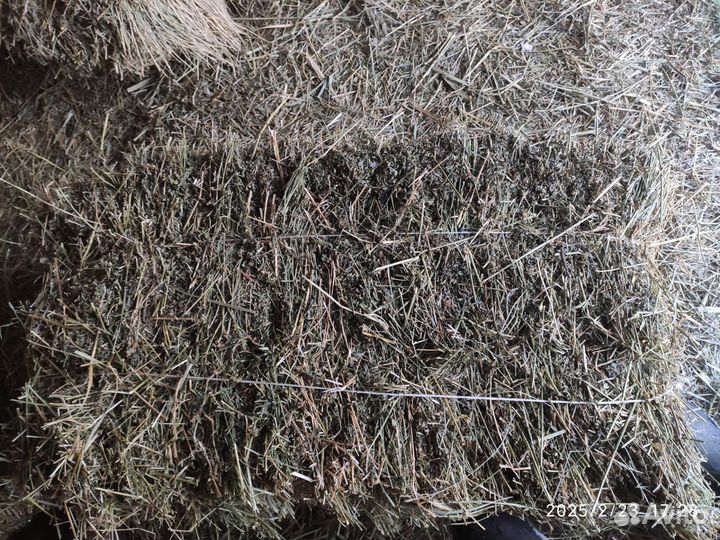 Сено люцерны в тюках