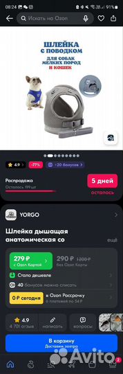 Шлейка для кошки новая