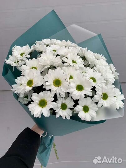 Букет хризантем -ромашек