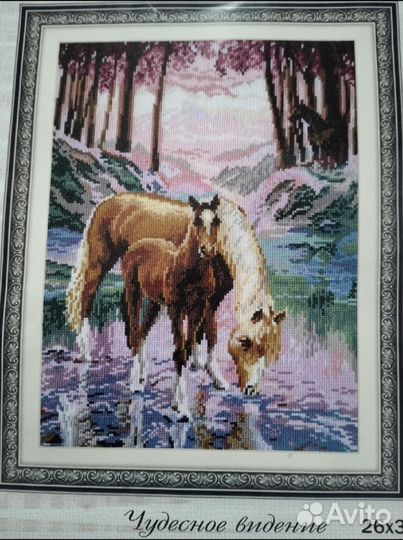 Схема для вышивания Чудесное видение лошади