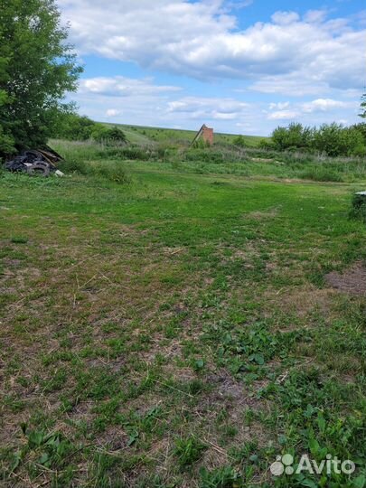 Ферма коровник