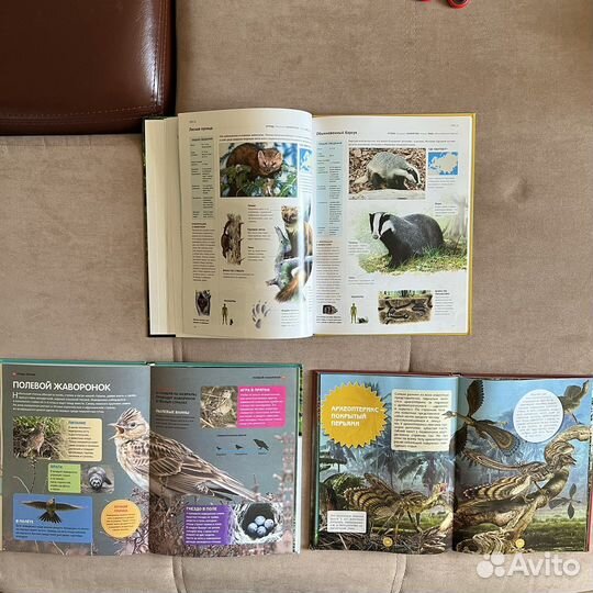 Большая детская энциклопедия для детей