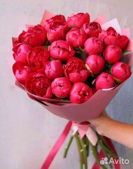 Пионы Букет пионов