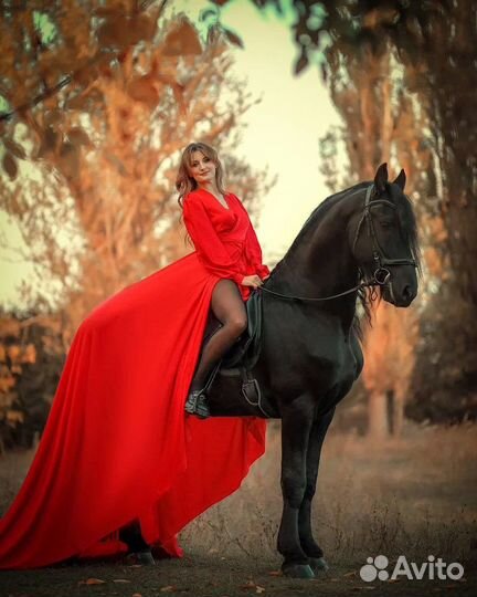 Фотосессии с лошадьми