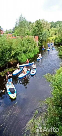 Sup сап доска в аренду