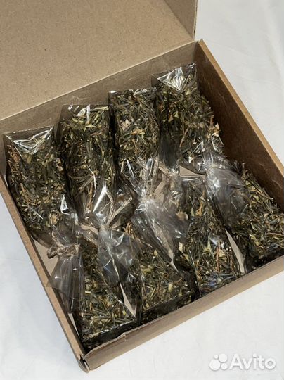 Сайган дайля