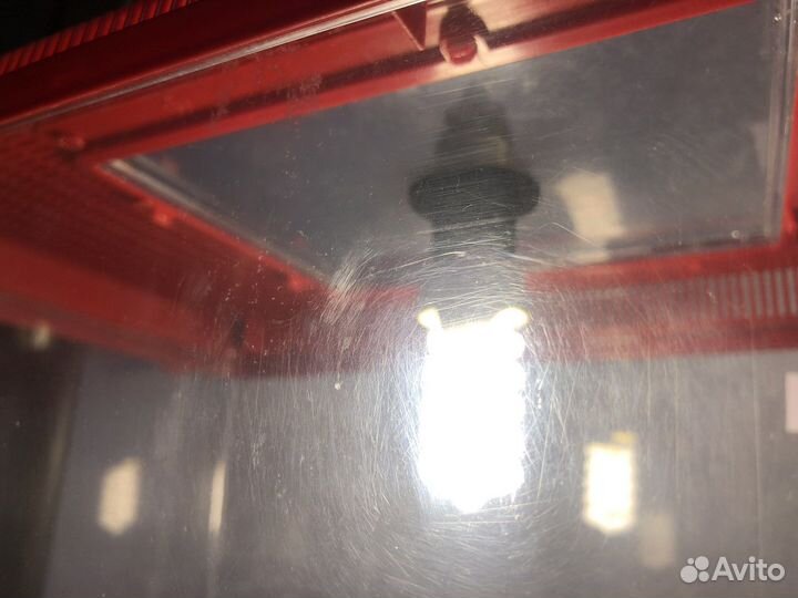 Террариум для рептилий