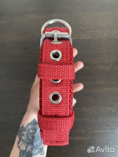 Ошейник для собак