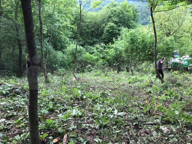 Участок 5,6 сот. (СНТ, ДНП)