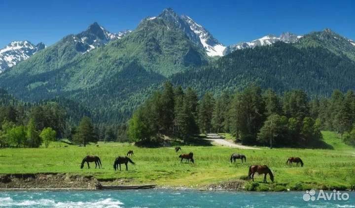 Архыз - семейный лагерь для детей и их родителей