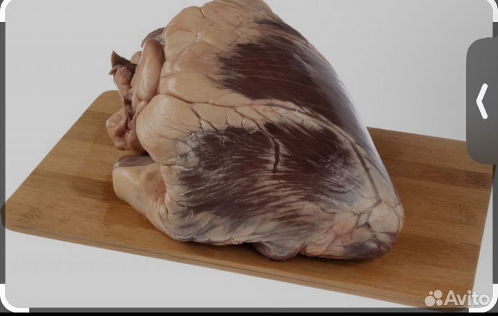 Корм для животных