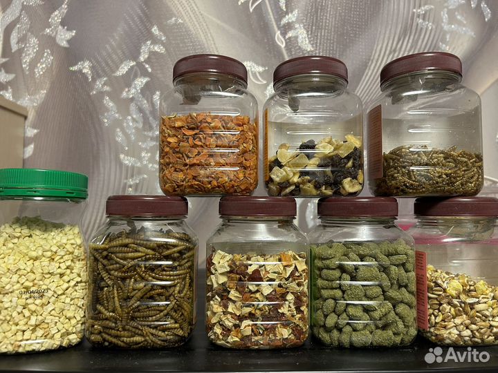 Корм и лакомска для хомяков